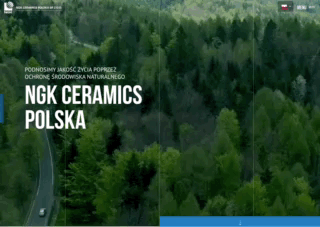 Przykłady fajne strony internetowe